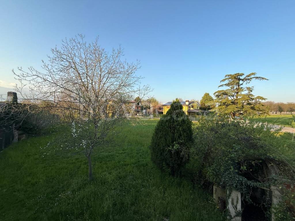 immagine annuncio 2 di 11