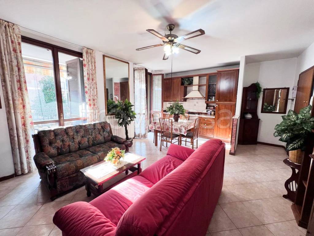 immagine annuncio 1 di 15