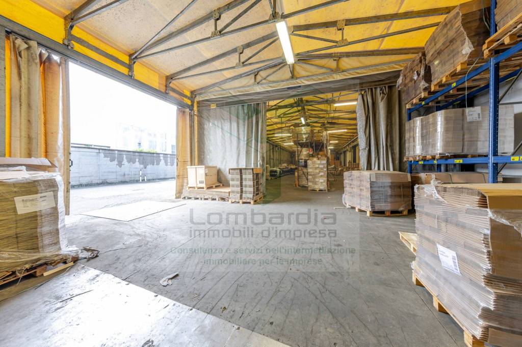 immagine annuncio 7 di 15