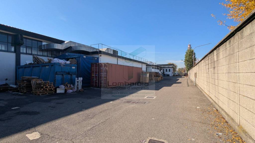 immagine annuncio 12 di 15