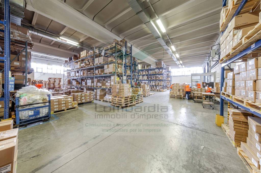 immagine annuncio 13 di 15