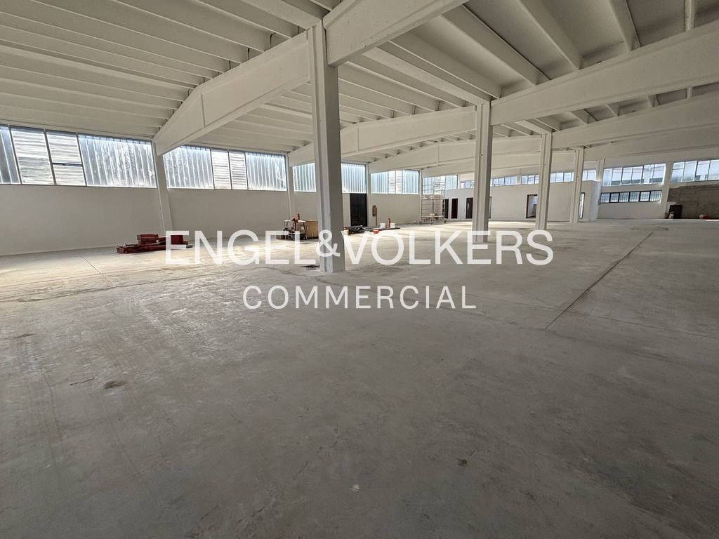 immagine annuncio 3 di 11