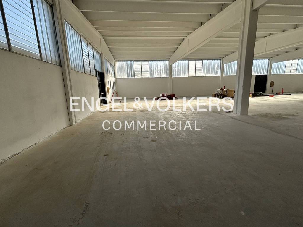 immagine annuncio 4 di 11