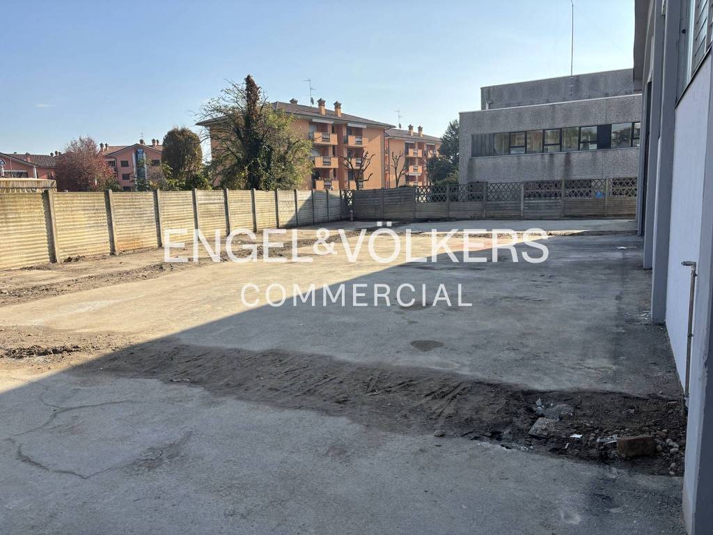 immagine annuncio 7 di 11