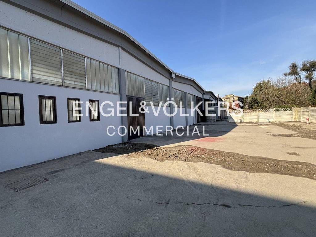 immagine annuncio 2 di 11