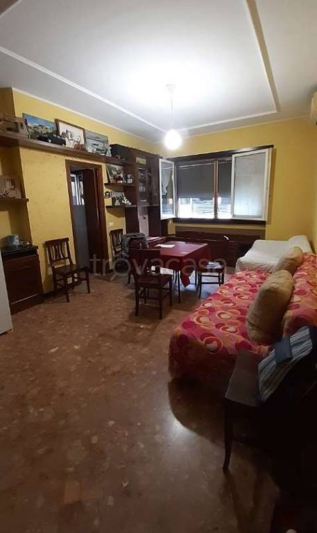 immagine annuncio 2 di 12