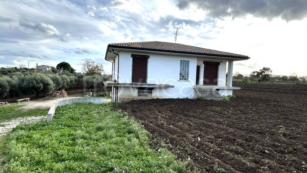 immagine annuncio 2 di 8