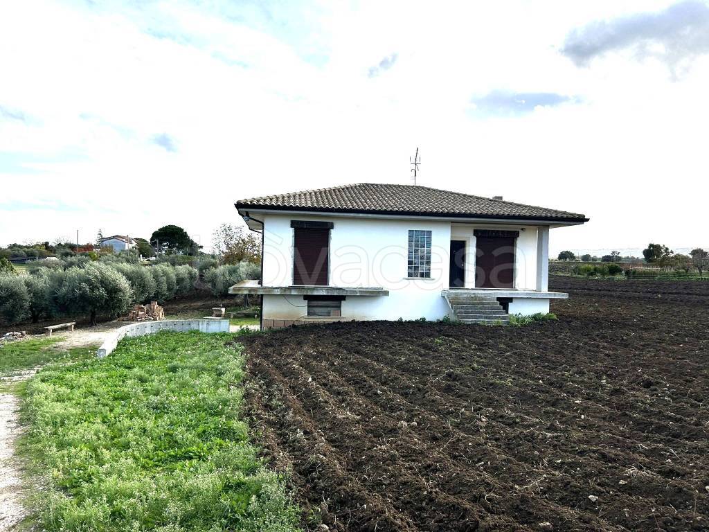 immagine annuncio 1 di 6