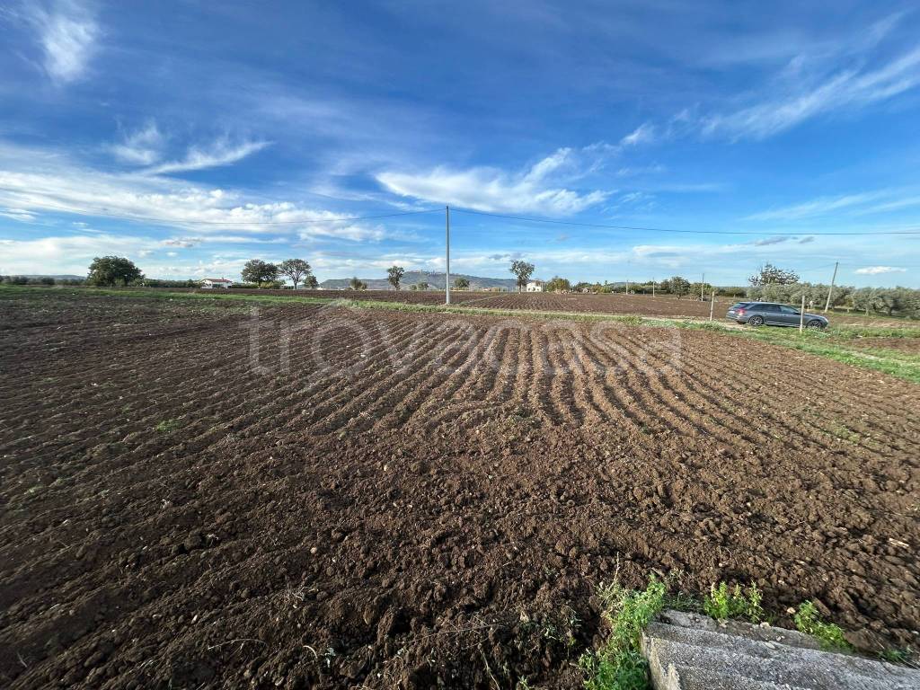 immagine annuncio 4 di 6