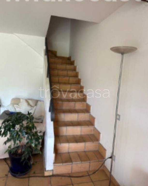 immagine annuncio 7 di 12