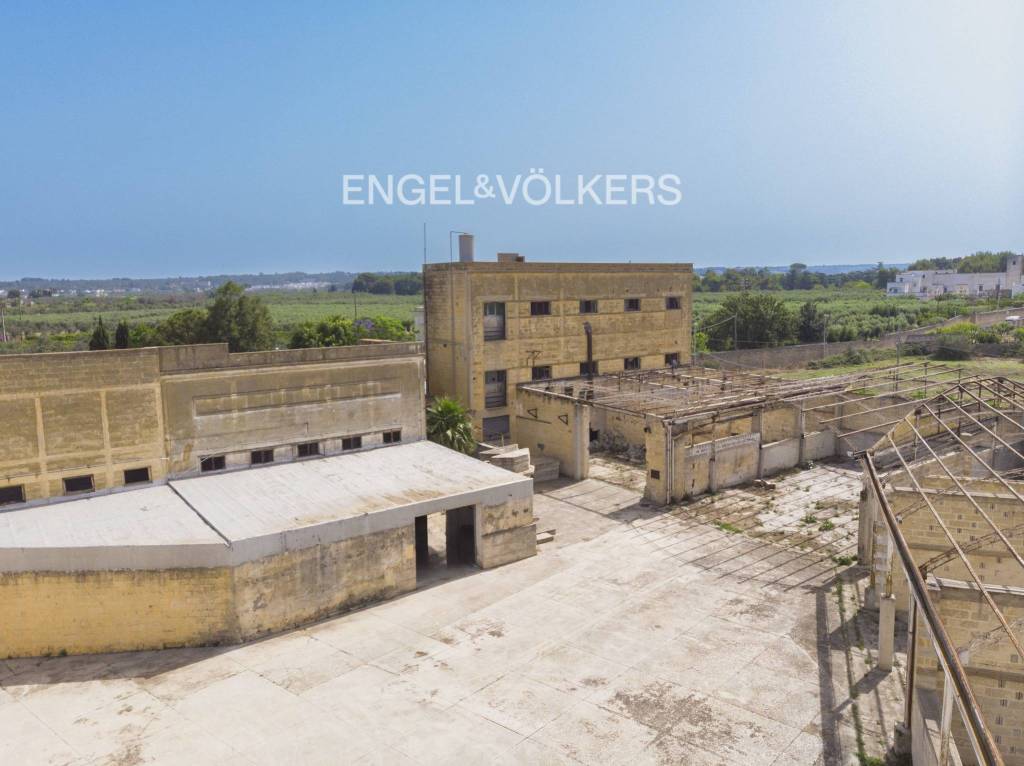 immagine annuncio 11 di 13