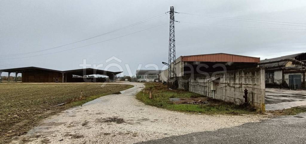 immagine annuncio 7 di 12