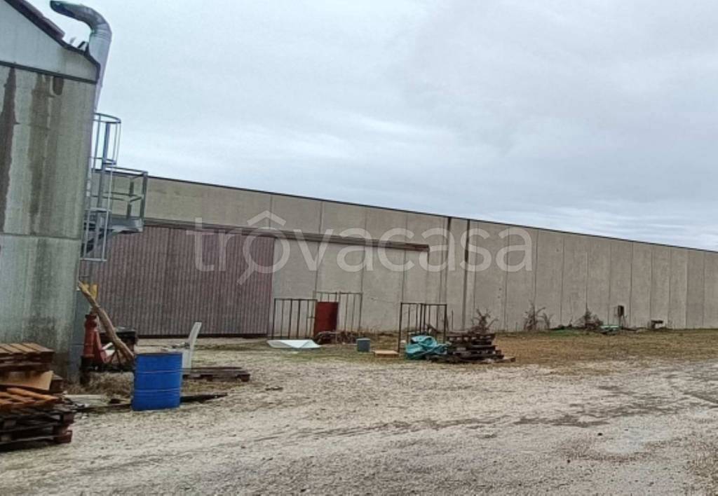 immagine annuncio 8 di 12