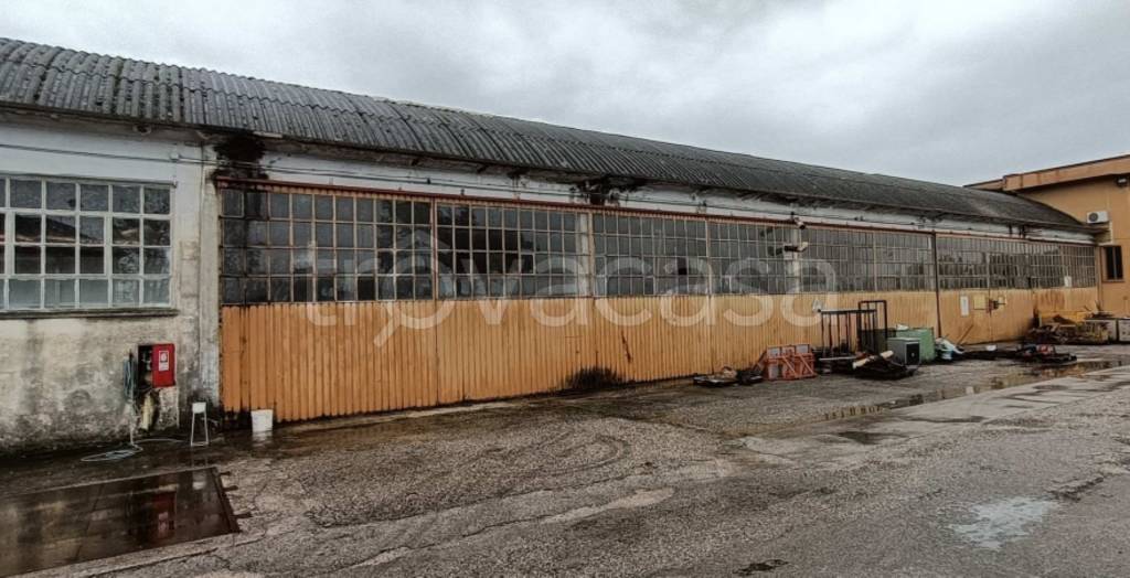 immagine annuncio 9 di 12