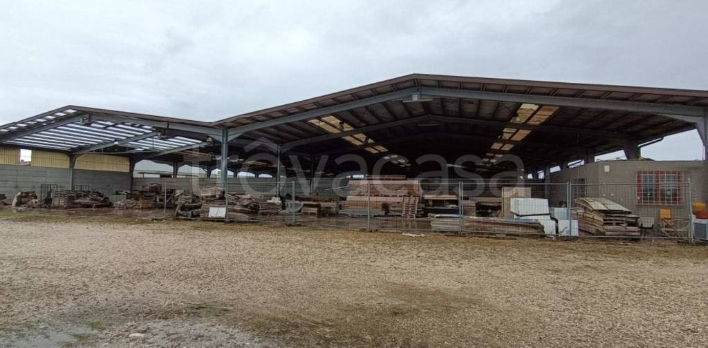 immagine annuncio 11 di 12