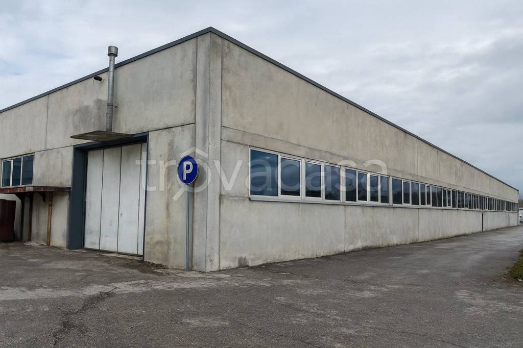 immagine annuncio 2 di 6