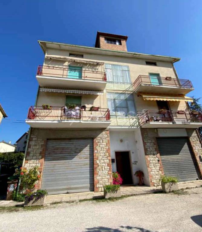 immagine annuncio 8 di 11