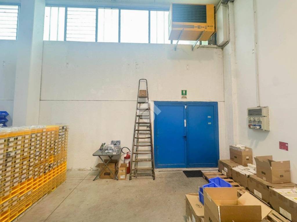 immagine annuncio 7 di 15