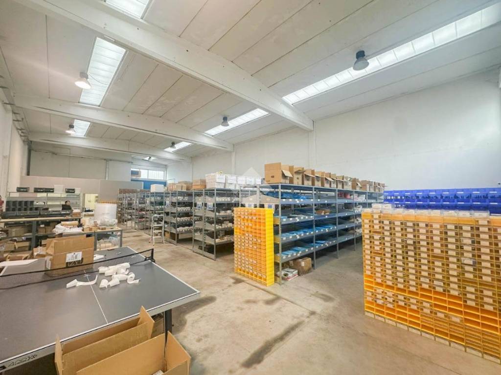 immagine annuncio 9 di 15