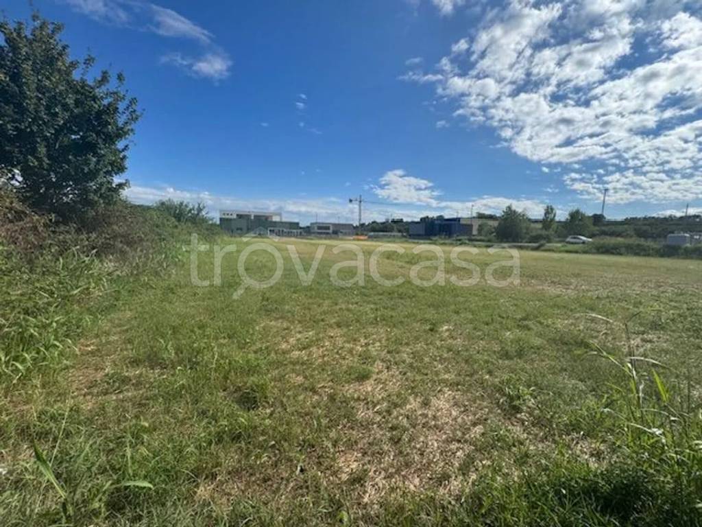 immagine annuncio 2 di 6