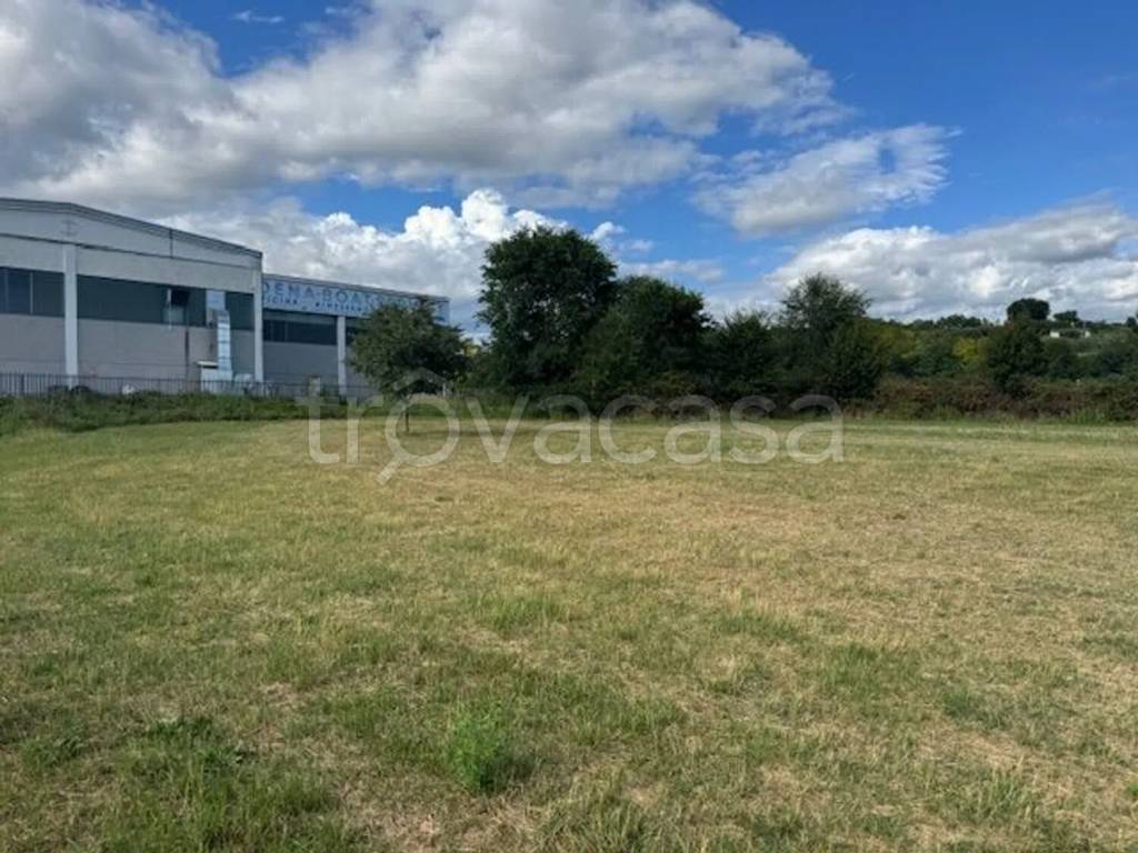 immagine annuncio 4 di 6