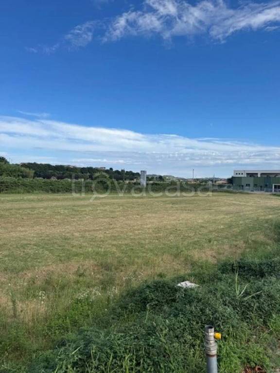 immagine annuncio 5 di 6