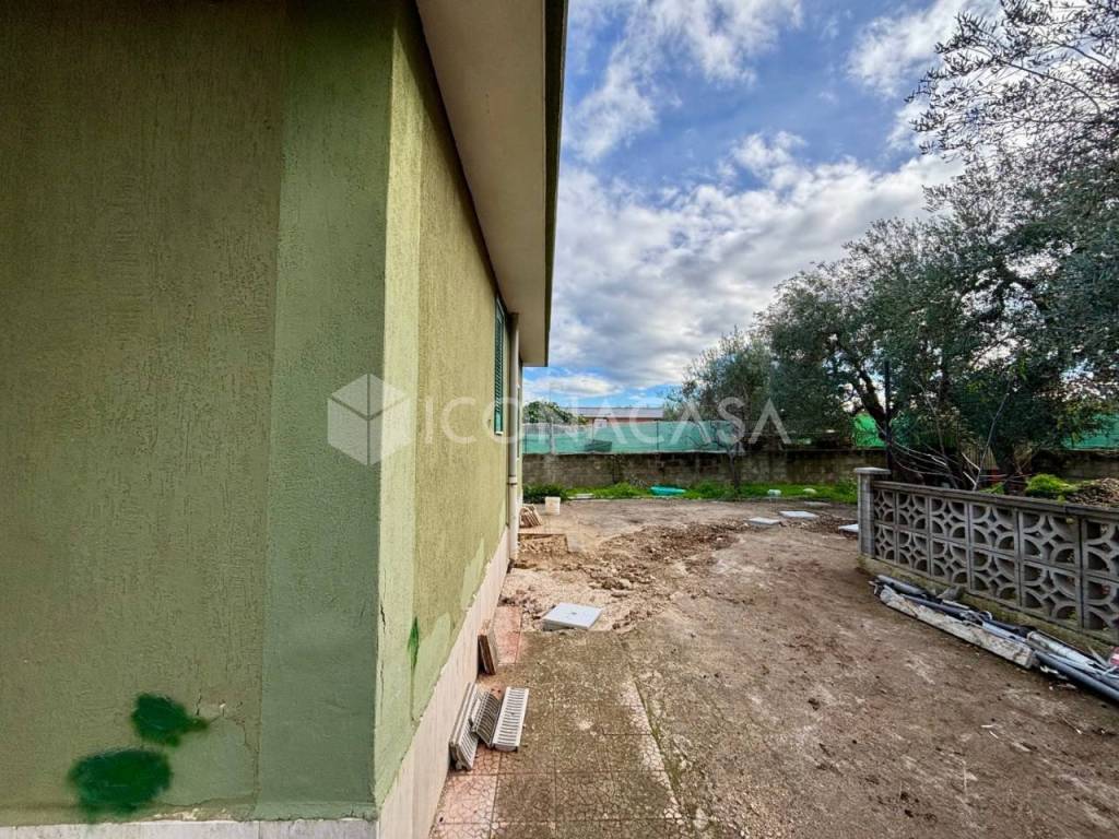 immagine annuncio 9 di 15