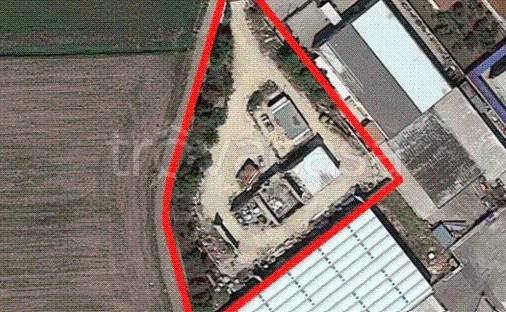 immagine annuncio 1 di 14