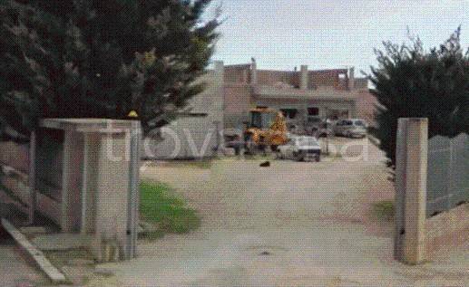 immagine annuncio 1 di 8