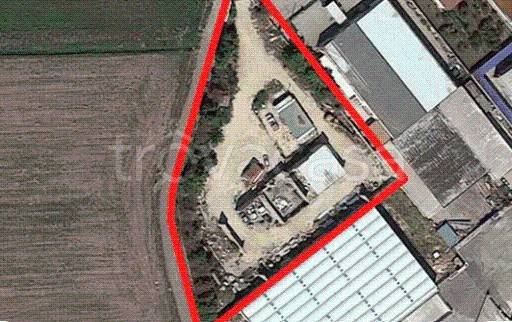 immagine annuncio 6 di 8