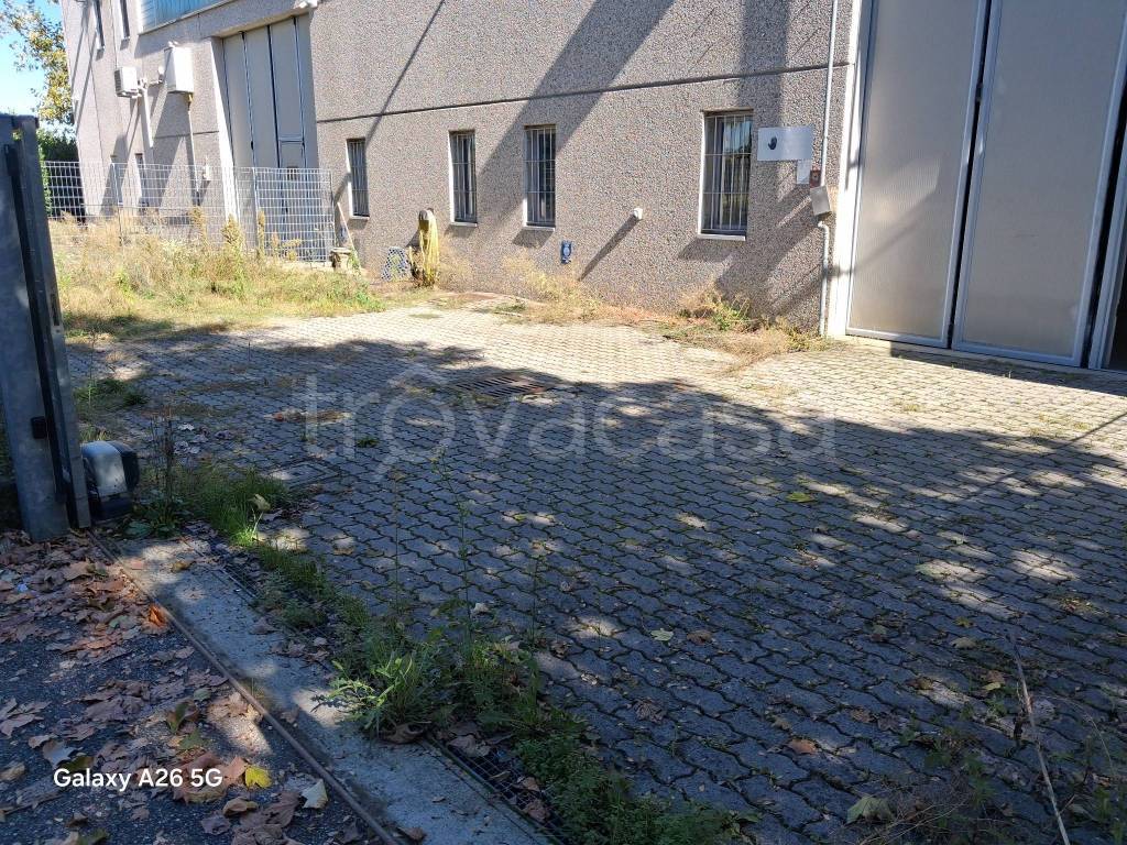 immagine annuncio 9 di 10