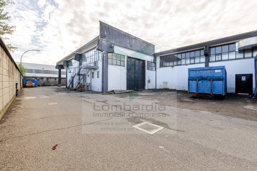 immagine annuncio 9 di 15