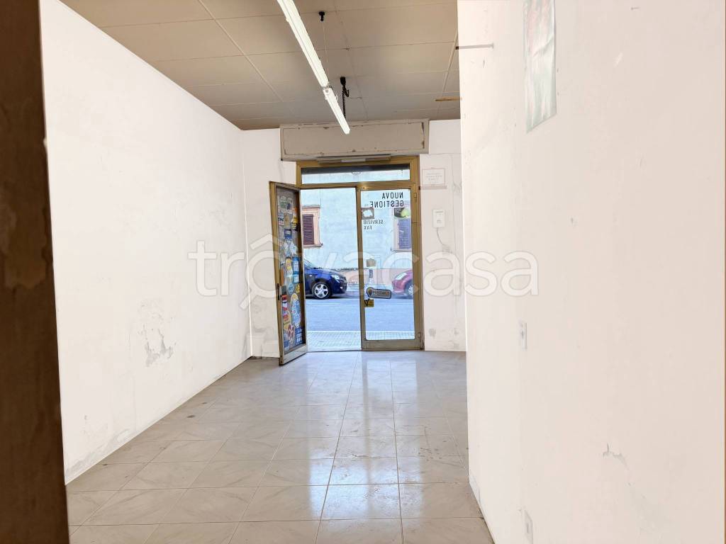 immagine annuncio 2 di 14