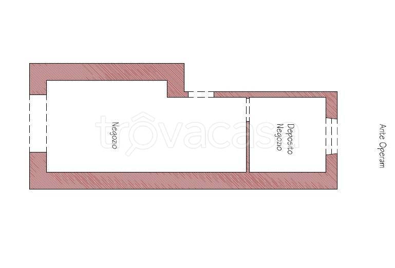 immagine annuncio 1 di 14