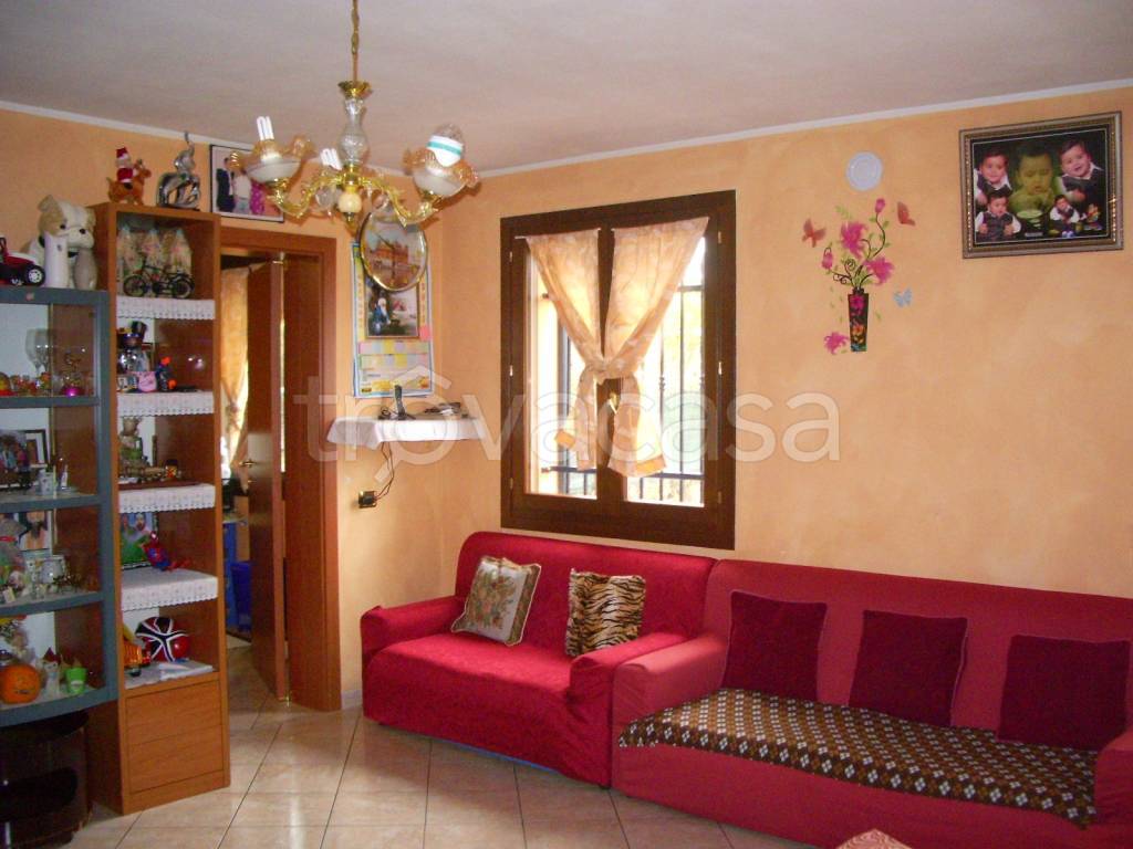 immagine annuncio 3 di 14