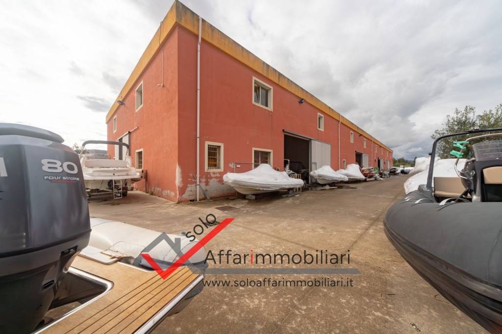 immagine annuncio 13 di 15