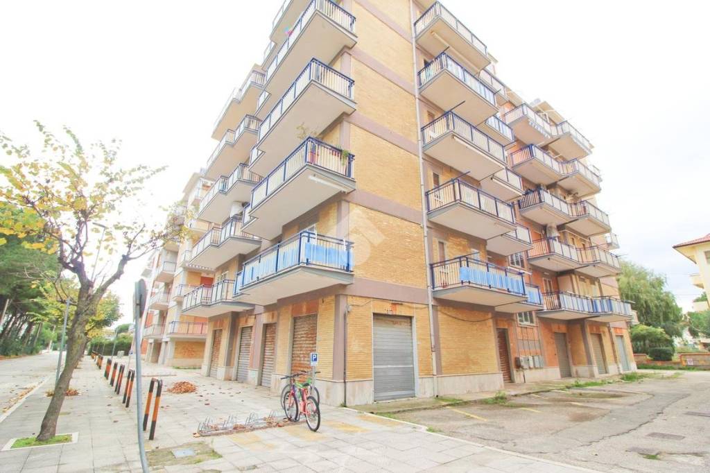 immagine annuncio 7 di 14