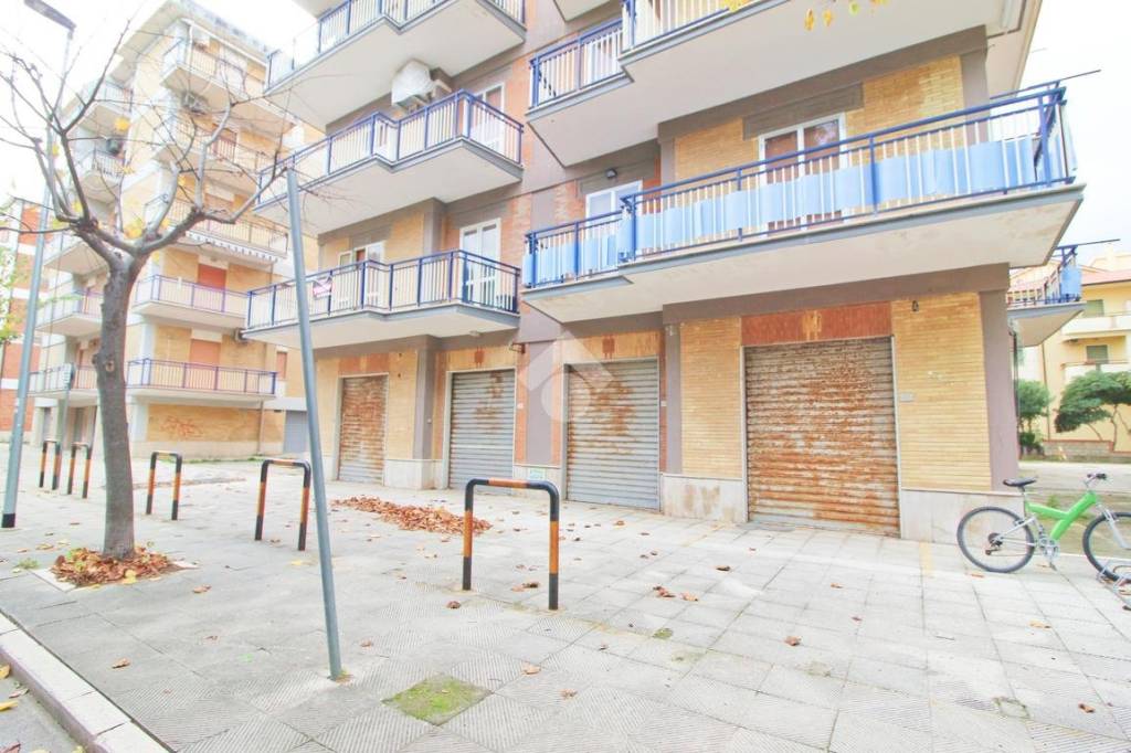 immagine annuncio 8 di 14