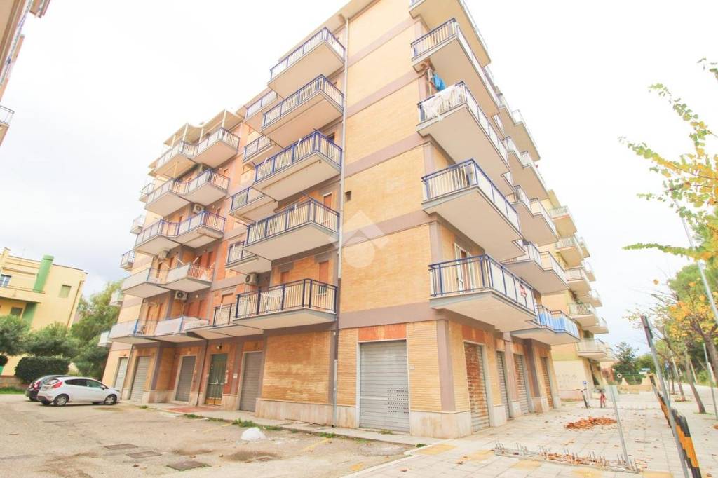 immagine annuncio 10 di 14