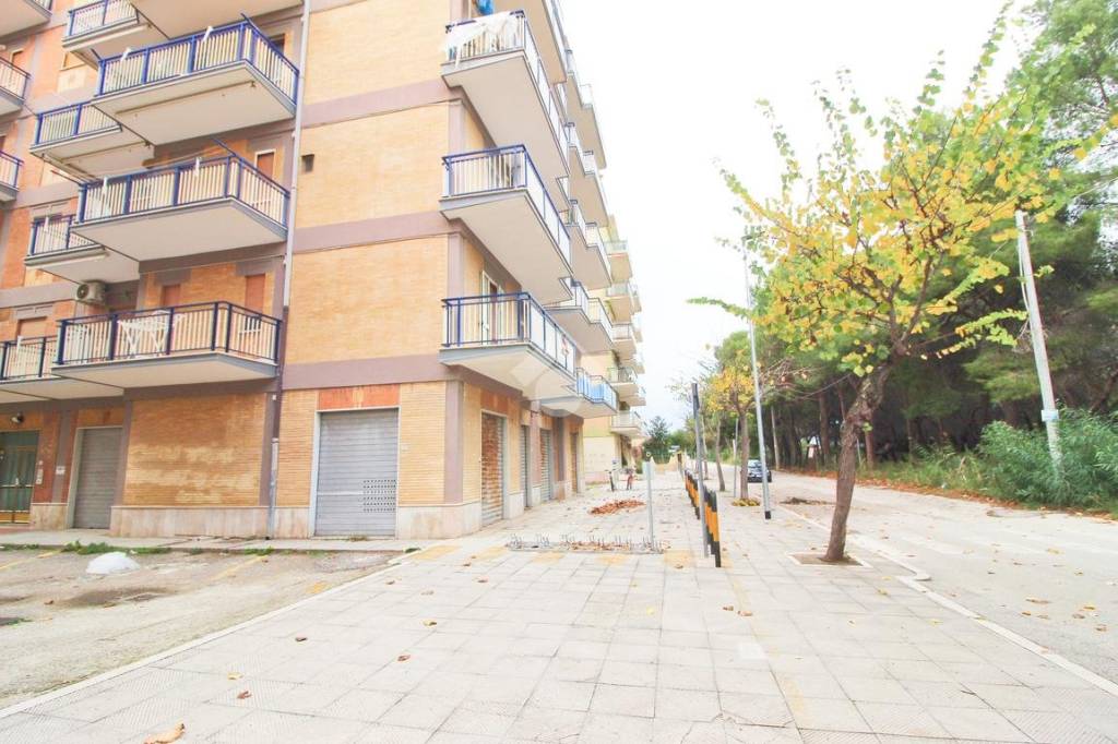 immagine annuncio 11 di 14