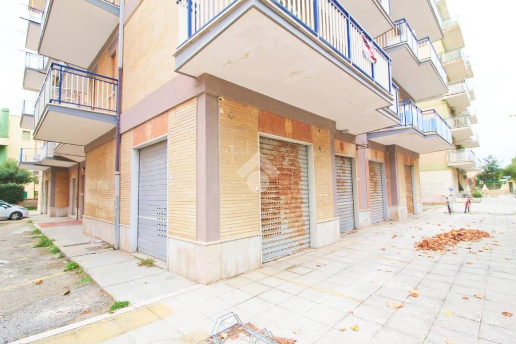 immagine annuncio 12 di 14