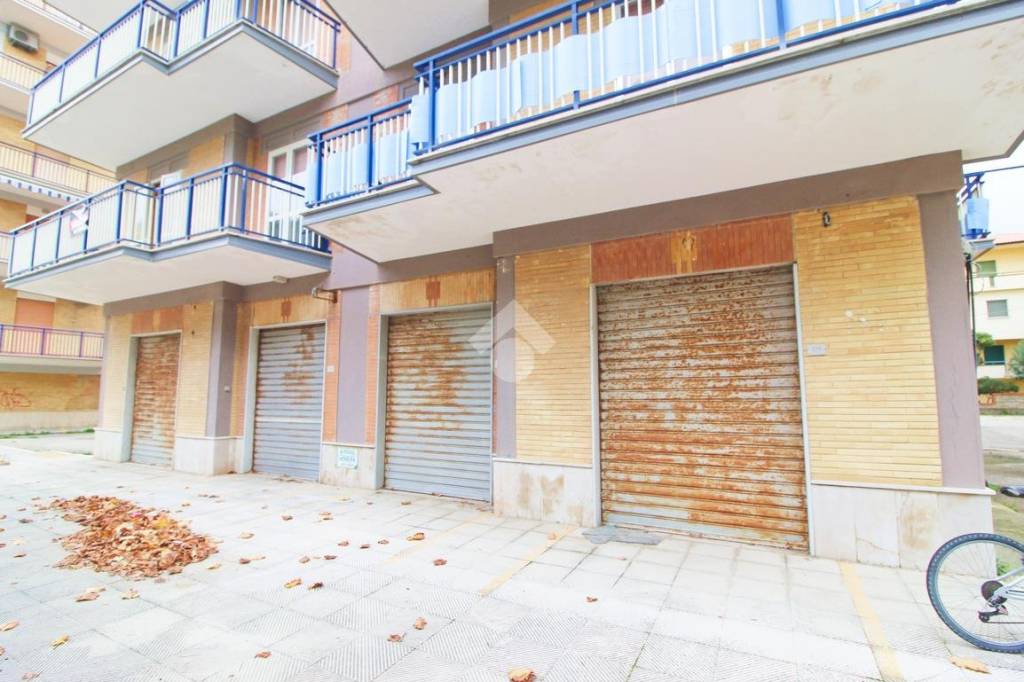 immagine annuncio 13 di 14