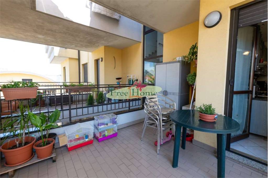 immagine annuncio 7 di 15