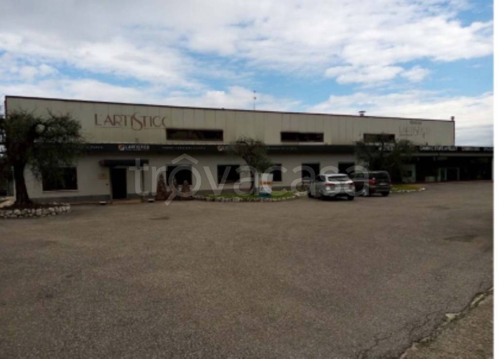 immagine annuncio 5 di 13