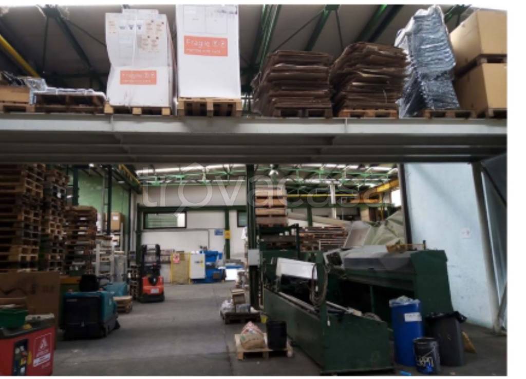 immagine annuncio 9 di 13