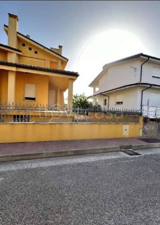 immagine annuncio 5 di 14