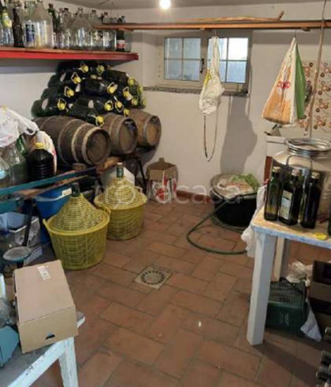 immagine annuncio 9 di 14