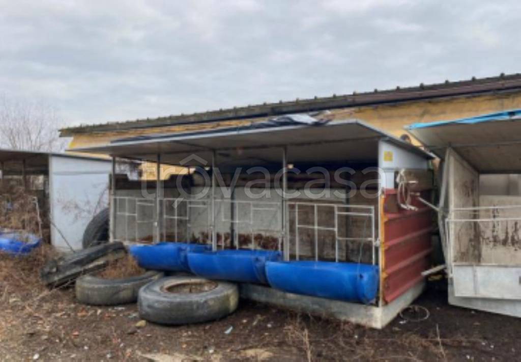 immagine annuncio 5 di 11