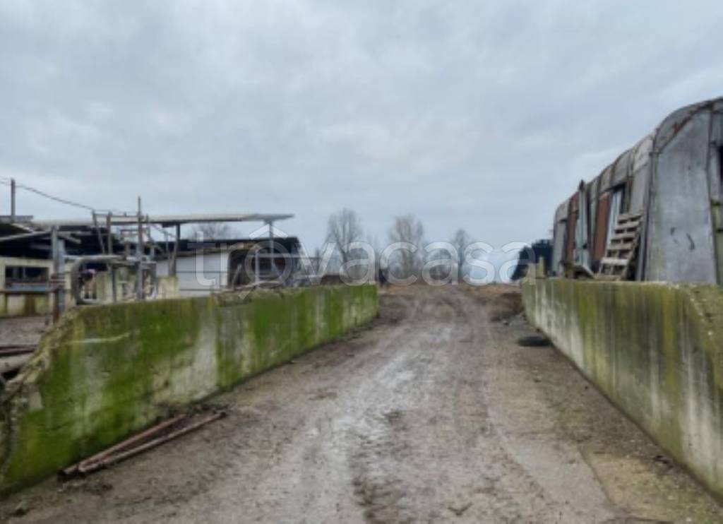 immagine annuncio 7 di 11