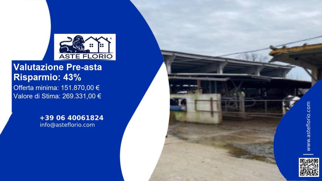 immagine annuncio 1 di 12